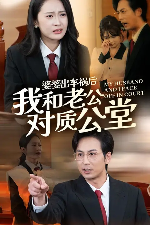 《婆婆出车祸后我和老公对质公堂》封面