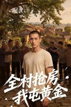 《全村抢房我屯黄金》封面