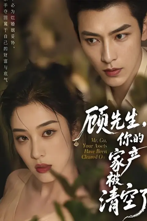 《顾先生，你的家产被清空了》封面