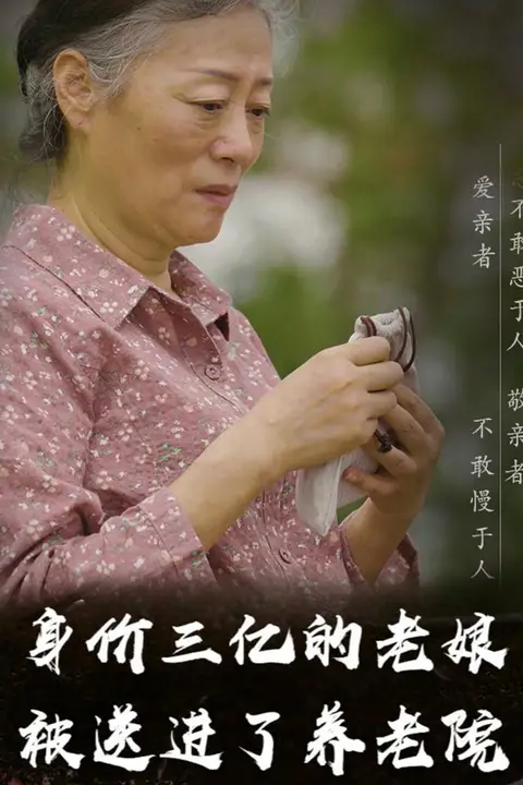 《身价三亿的老娘被送进了养老院》封面