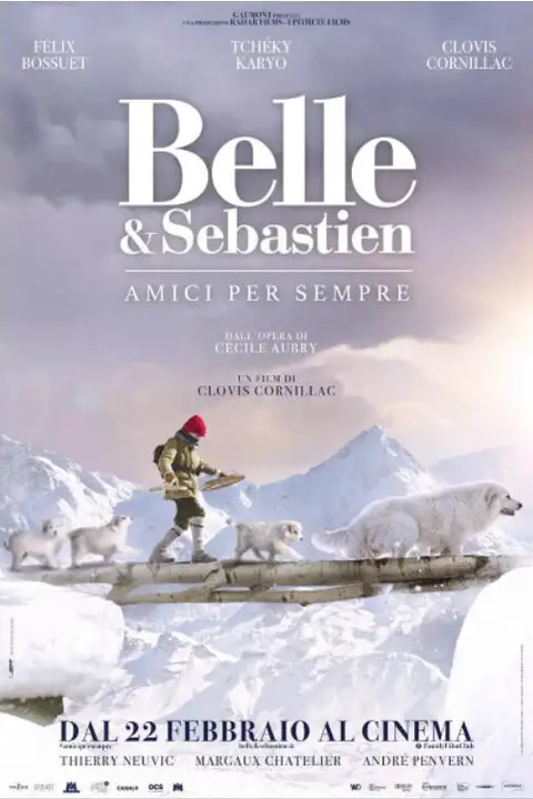 《灵犬雪莉3》封面