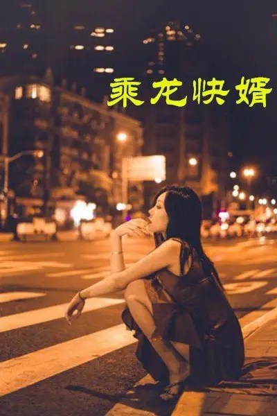 《乘龙快婿》封面