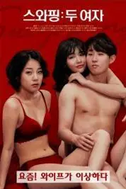 《交换:两个女人》封面