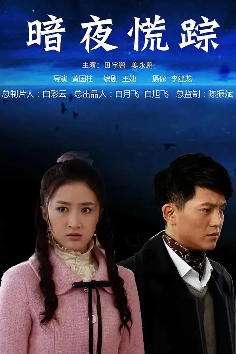 《暗夜慌踪 2013》封面