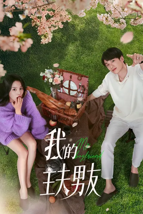 《我的主夫男友》封面