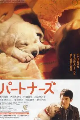 《陪伴》封面