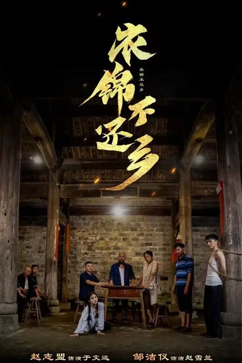 《衣锦不还乡》封面