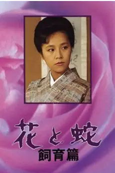 《花与蛇 飼育篇》封面
