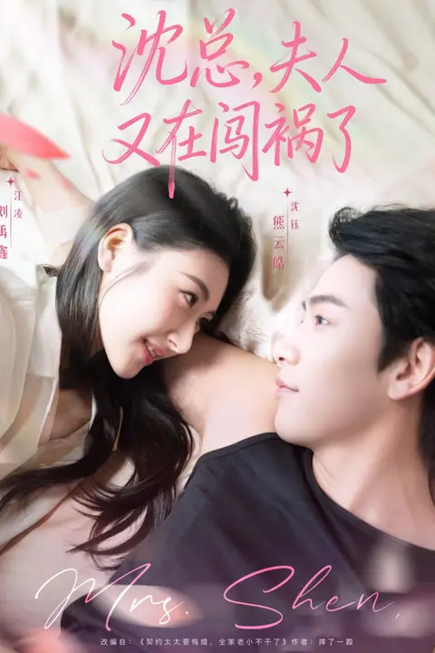 《沈总,夫人又在闯祸了》封面