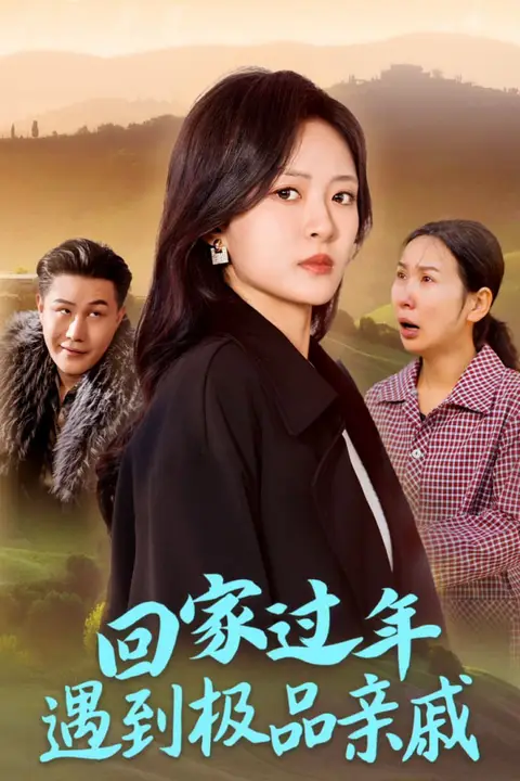 《回家过年遇到极品亲戚》封面