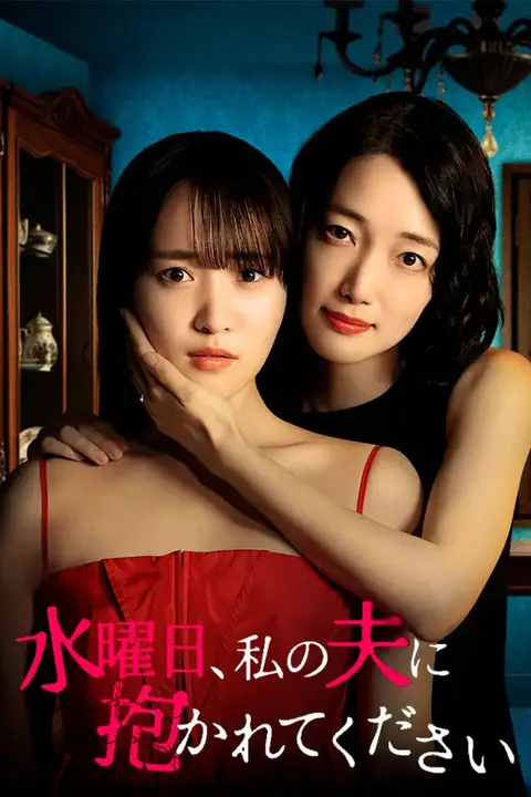 《星期三，请让我丈夫拥抱你 水曜日》封面