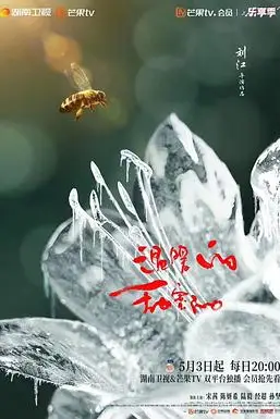 《温暖的甜蜜的》封面