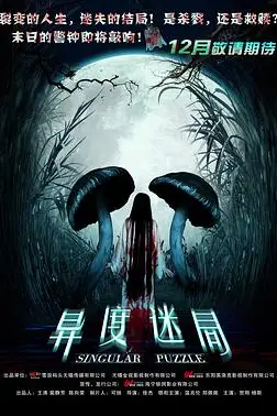 《异度迷局》封面