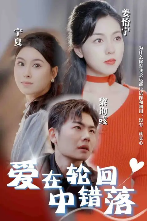 《爱在轮回中错落》封面