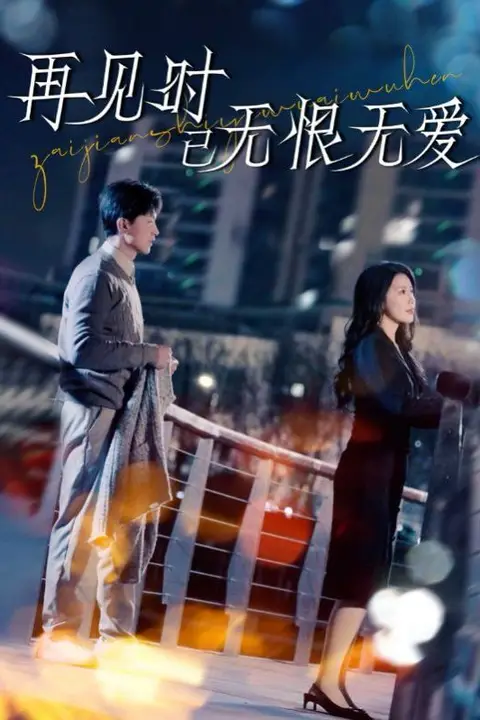 《再见时已无恨无爱》封面