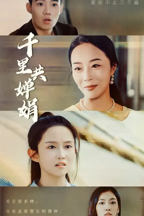 《千里共婵娟》封面