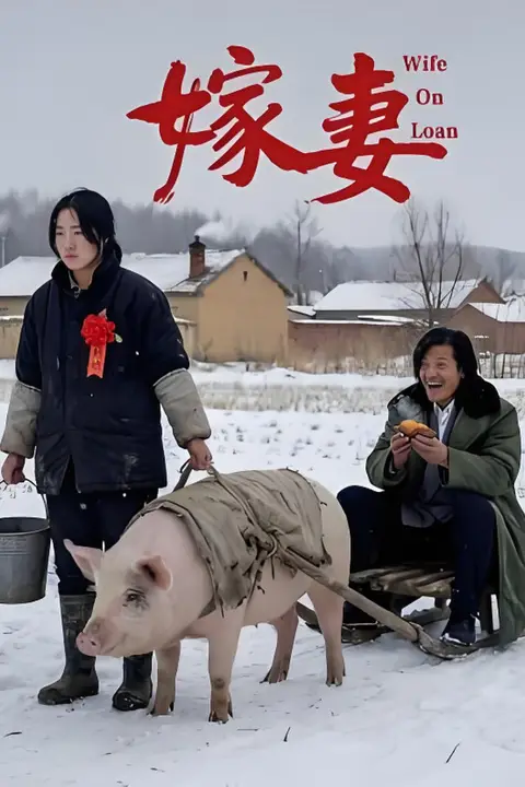 《嫁妻》封面