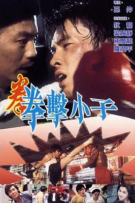 《拳击小子》封面