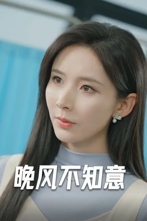 《晚风不知意》封面