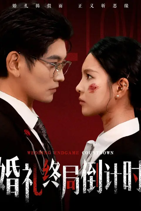 《婚礼终局倒计时》封面