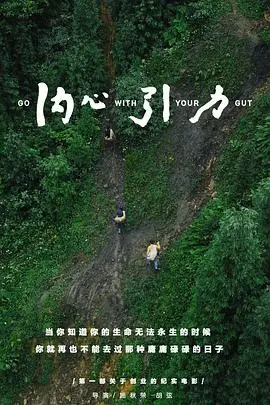 《内心引力》封面