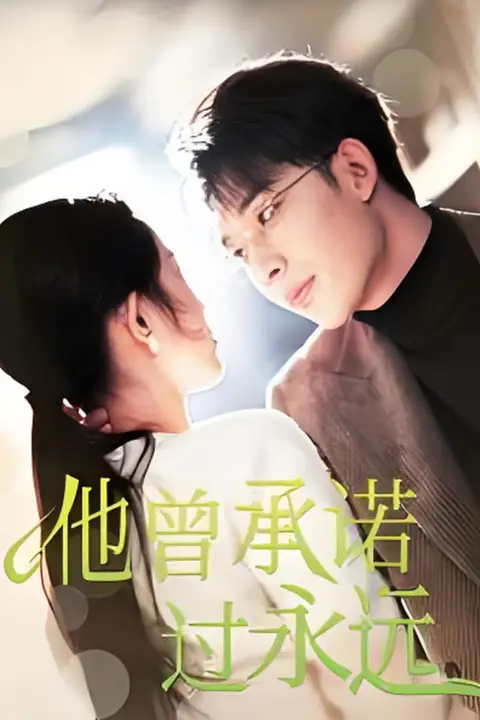 《他曾承诺过永远》封面