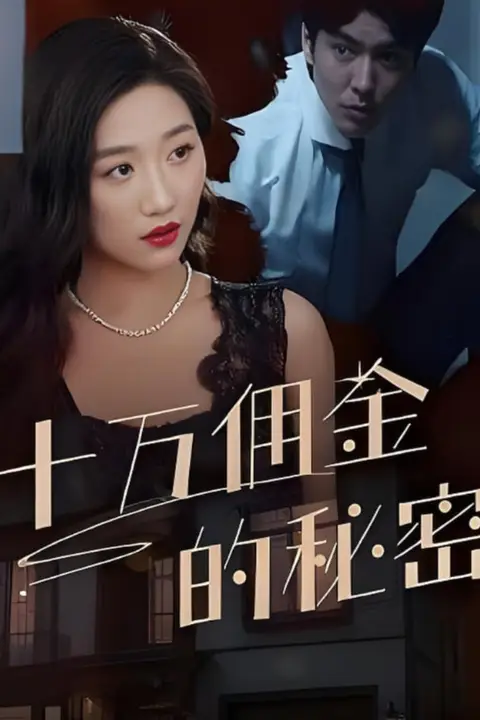 《十万佣金的秘密》封面