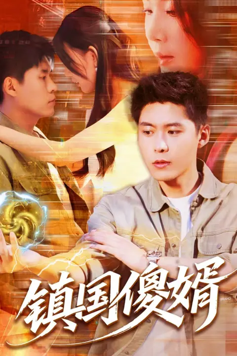 《镇国傻婿》封面