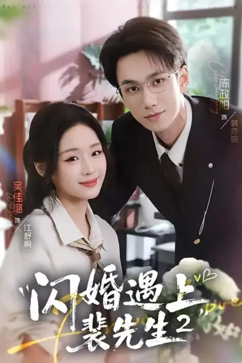 《闪婚遇上裴先生》封面