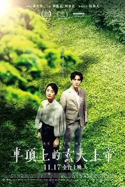 《车顶上的玄天上帝》封面