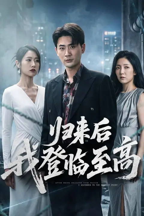 《归来后我登临至高》封面