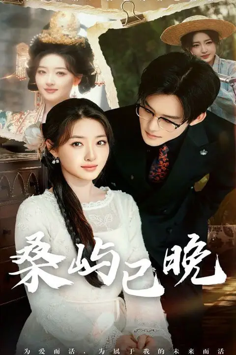 《桑屿已晚》封面