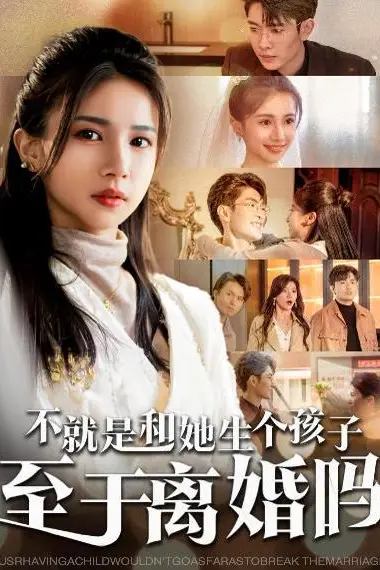 《不就是和她生个孩子至于离婚吗》封面