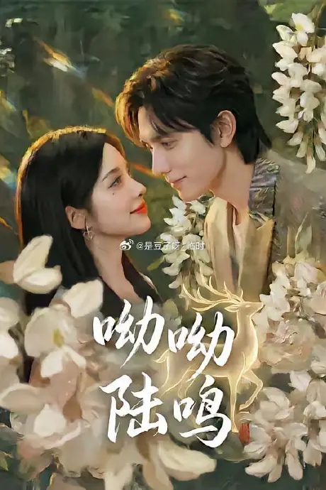 《呦呦陆鸣》封面