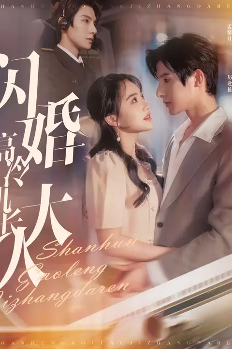 《闪婚高冷机长大人（机长先生听我指挥）》封面