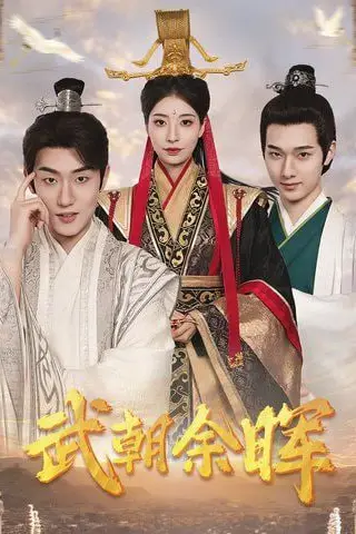 《武朝余晖》封面