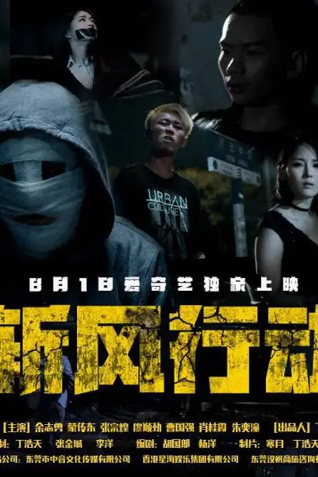 《斩风行动》封面
