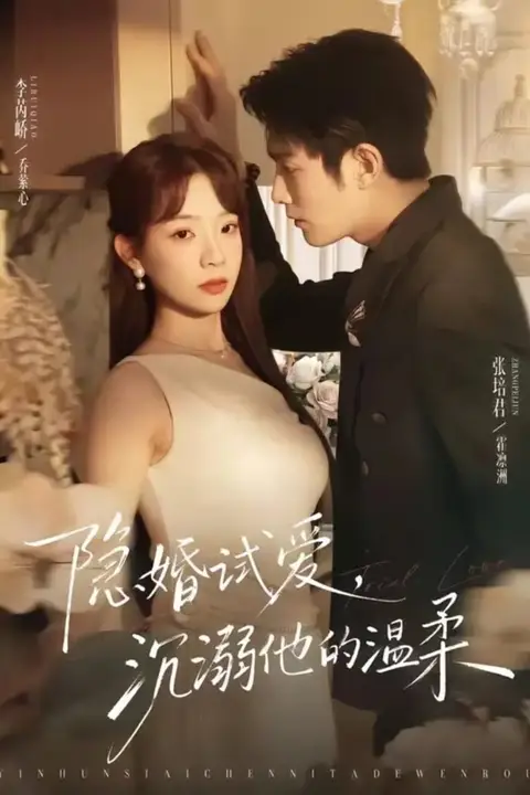 《隐婚试爱,沉溺他的温柔》封面