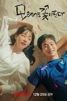 《沙之花也有春天》封面