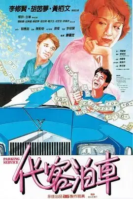 《代客泊车》封面