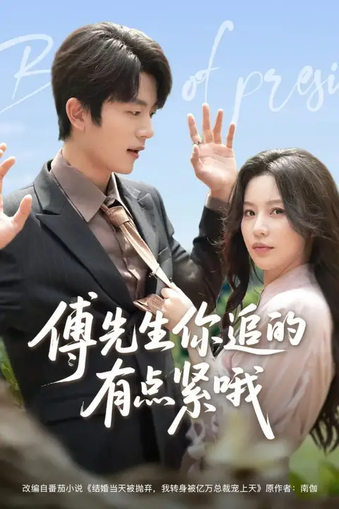 《傅先生你追的有点紧哦》封面
