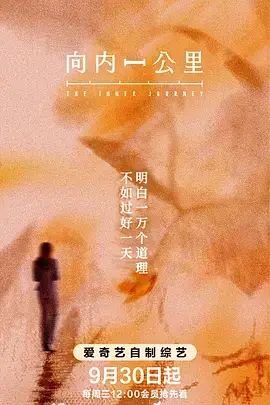 《向内一公里》封面
