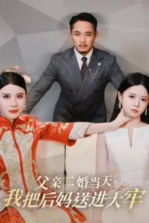《父亲二婚当天,我把后妈送进大牢》封面