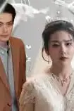 《绝世宠爱》封面