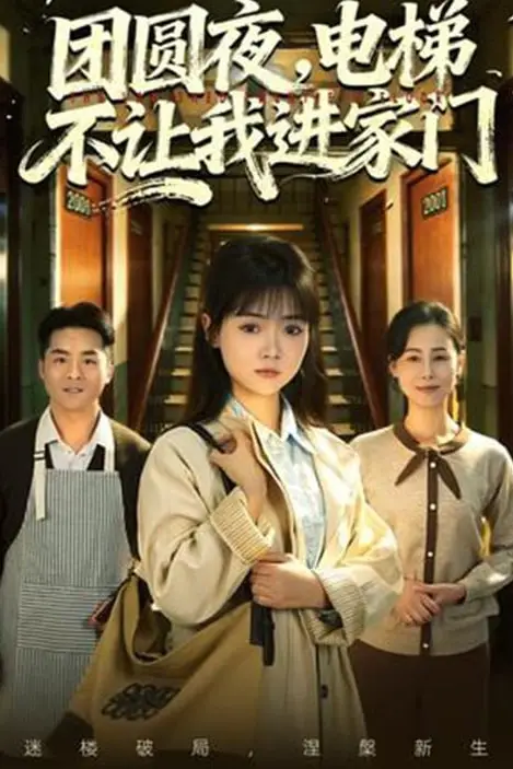 《团圆夜，电梯不让我进家门》封面