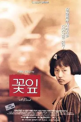 《花瓣》封面