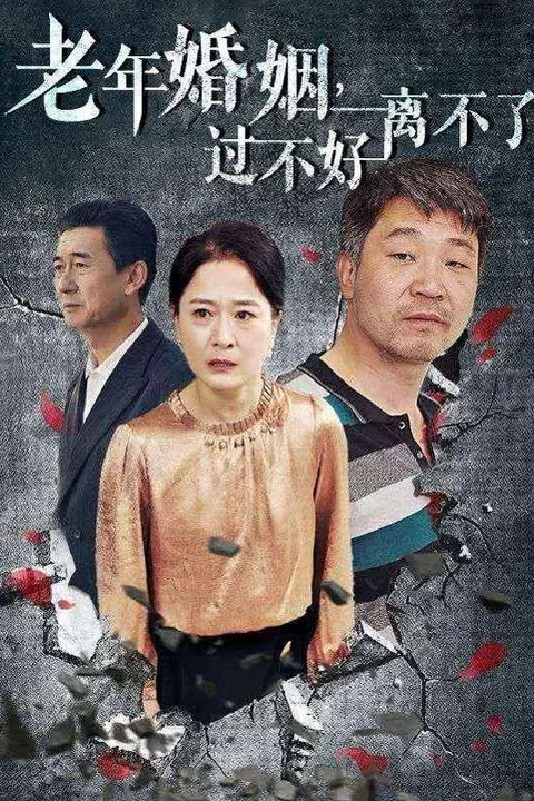 《老年婚姻过不好离不了》封面
