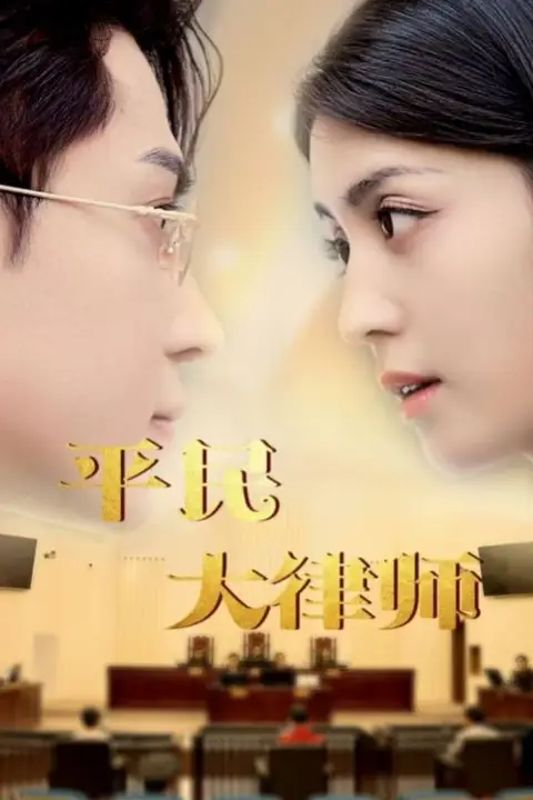 《平民大律师》封面