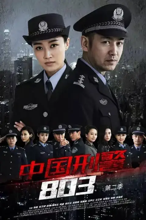 《中国刑警803英雄本色》封面