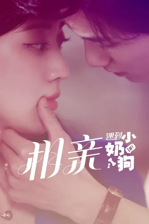 《相亲遇到小奶狗》封面